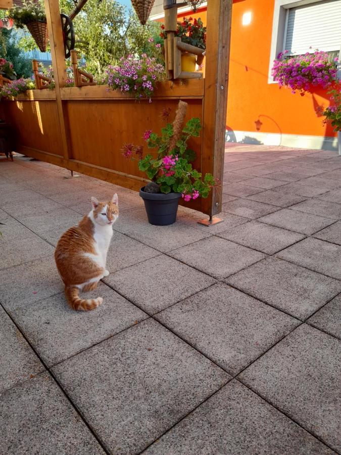 Apartmán Trollenhof Wellendingen Exteriér fotografie